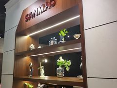 -三猫黑鱼花(南大店)