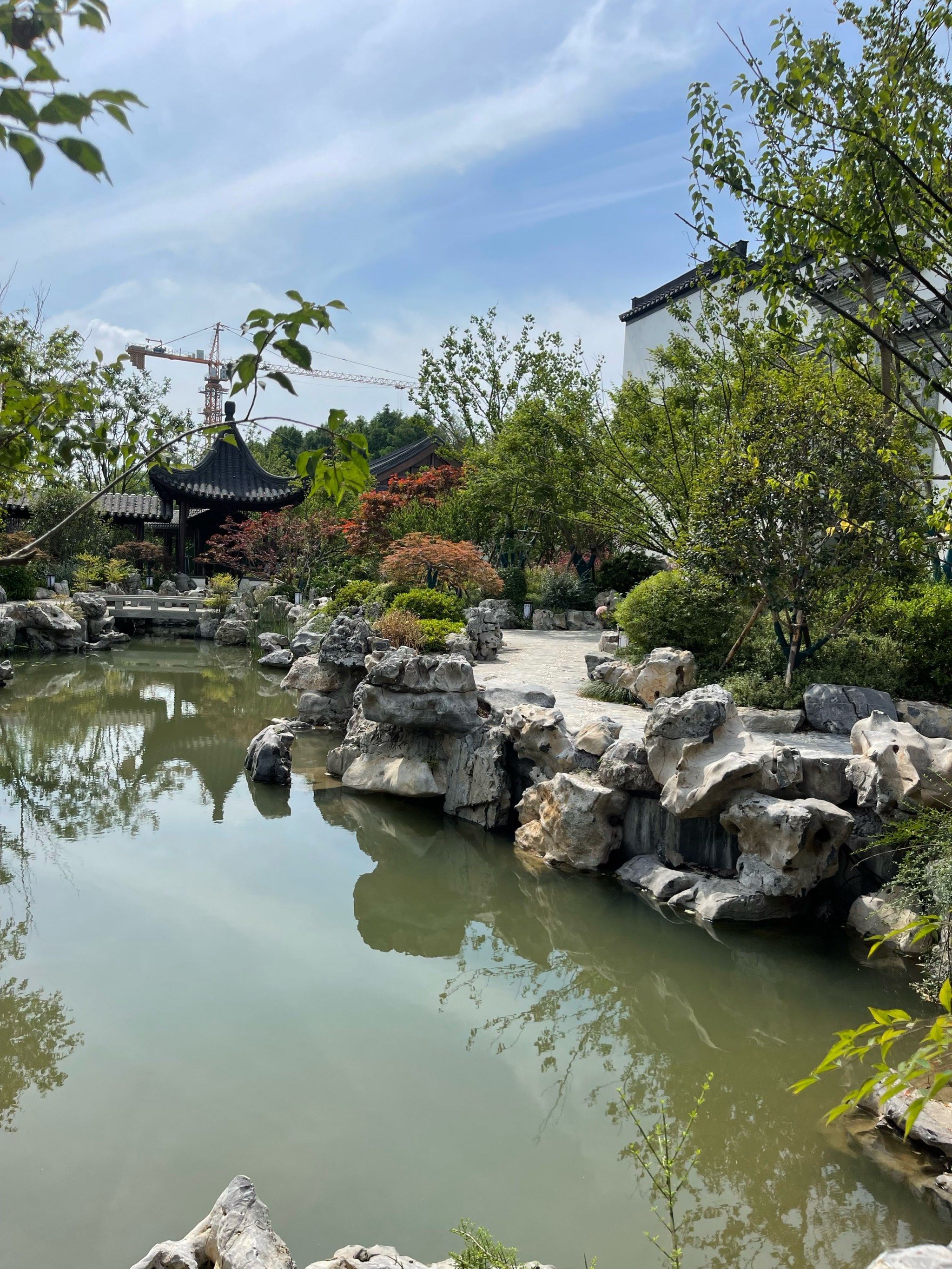 华泾公园已经是next level了