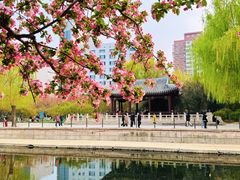 -元大都城垣遗址公园