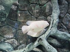 -多彩贵州城极地海洋世界