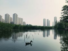 -前关湿地公园