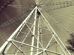 -哈尔滨文化公园