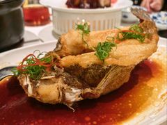 -侨美·唐荔园·40年地道粤菜