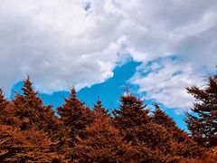 -白草畔自然风景区