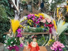 -正佳雨林生态植物园