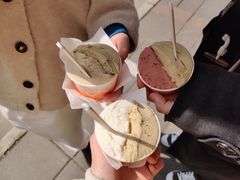 -DIP in GELATO(富民路店)