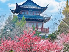 -堤角公园