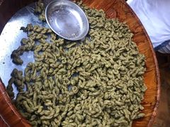 -沈氏祖传老宁波油赞子(南塘店)