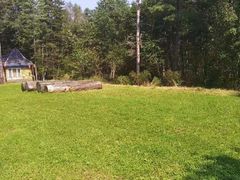 -五营红松林海景区