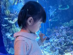-欢乐海岸海洋奇梦馆