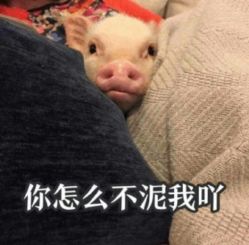 -红人馆造型十添