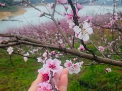 -望湖楼餐厅(白廊码头店)