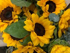 -Native Flower 莱提花艺(南海新天地广场店)