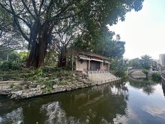 -荔湾湖公园