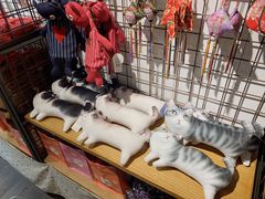 -猫咪博物馆(顶澳仔猫街店)
