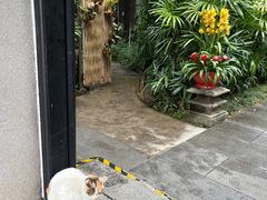 -广州兰圃