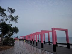 -漳州滨海火山岛自然生态风景区
