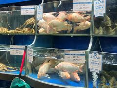 -果蔬好生活超市(东湖店)