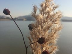 -竹泉村旅游度假区