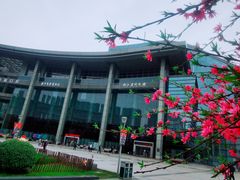-西湖文化广场