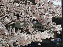 -国文影城(上海闸北店)