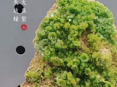 -中国地质博物馆