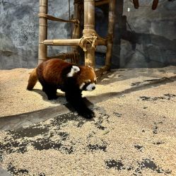 -Zoolung Zoolung动物主题公园(海信广场店)