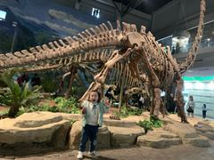 -自贡恐龙博物馆