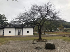-井冈山风景名胜区