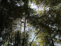 -敬亭山风景名胜区