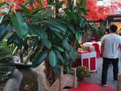 -漕河全驴宴饭店(徐水店)