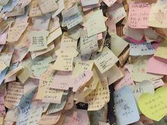 -一杯黔茶(西江千户苗寨古街店)