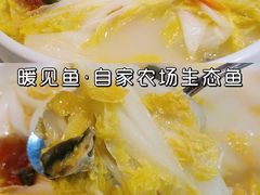 -暖见鱼·自家农场生态鱼