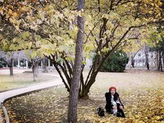 -西北农林科技大学(北校区)