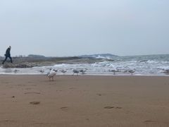 -老虎石海上公园