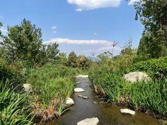 -崇圣寺三塔文化旅游区