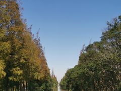 -上海长兴岛郊野公园