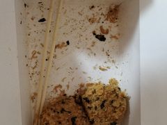 -鲍师傅糕点(江苏路店)