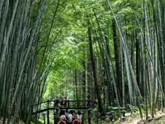 -同里国家湿地公园