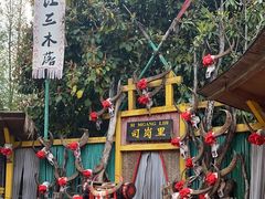 -云南民族村