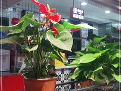 -苗小坛酸汤鱼(酒仙桥店)