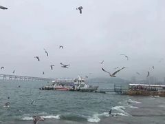 -星海广场