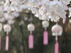 -杭州少年儿童公园