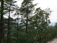 -洛阳白云山景区