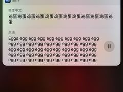 -麦当劳(红旗路店)