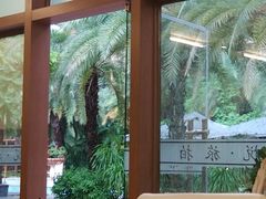 -三亚湾红树林度假世界(木棉酒店)