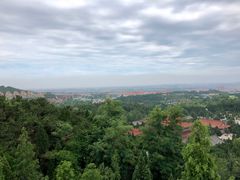 -龙口南山旅游景区