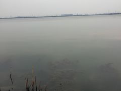 -漕湖湿地公园