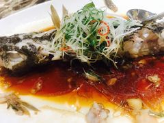 清蒸鲥鱼-老洋房花园饭店(绍兴路店)