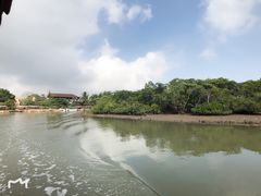 -东寨港红树林旅游区